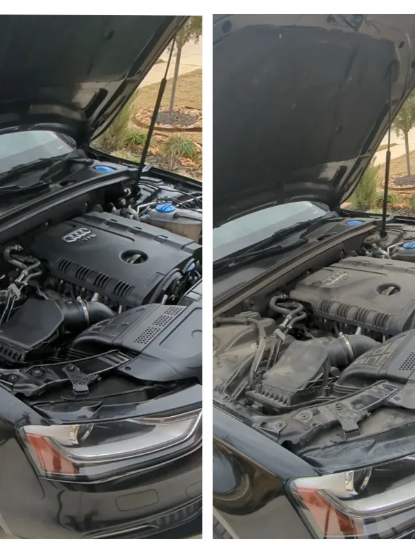 Detailed BMW engine bay after degreasing and dressing